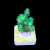 Pocillopora Green M