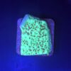 Montipora Jedi Trick Mint Undata M