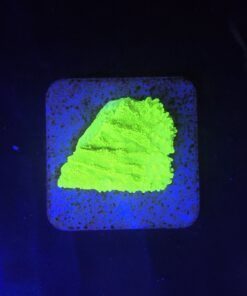 Montipora Capricórnio Kryptonita P