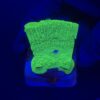 Montipora Capricórnio Kryptonita M
