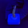 Nana Purple Neon Polyps M