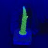 Yongei Green Blue Tips M