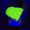 Montipora Capricórnio Kryptonita M