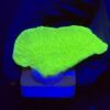 Montipora Capricórnio Kryptonita M
